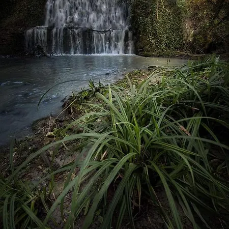 Farm stay Il Molinaccio Al Rio Chiaro Civitella d'Agliano