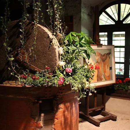 Farma Il Molinaccio Al Rio Chiaro Civitella dʼAgliano