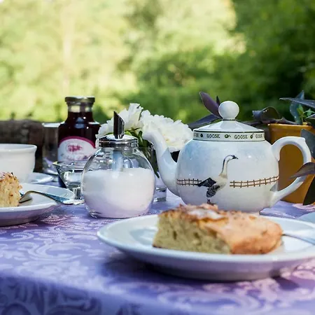 Il Molinaccio Al Rio Chiaro Farm stay Civitella d'Agliano